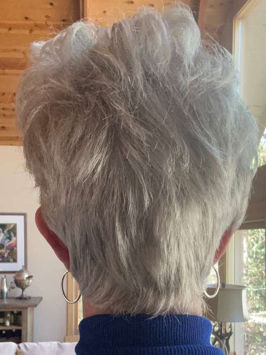 Susan Sparks @an_affair_with_hair wearing TAB by ELLEN WILLE in color SILVER MIX | Pure Silver White and Pearl Platinum Blonde Blend